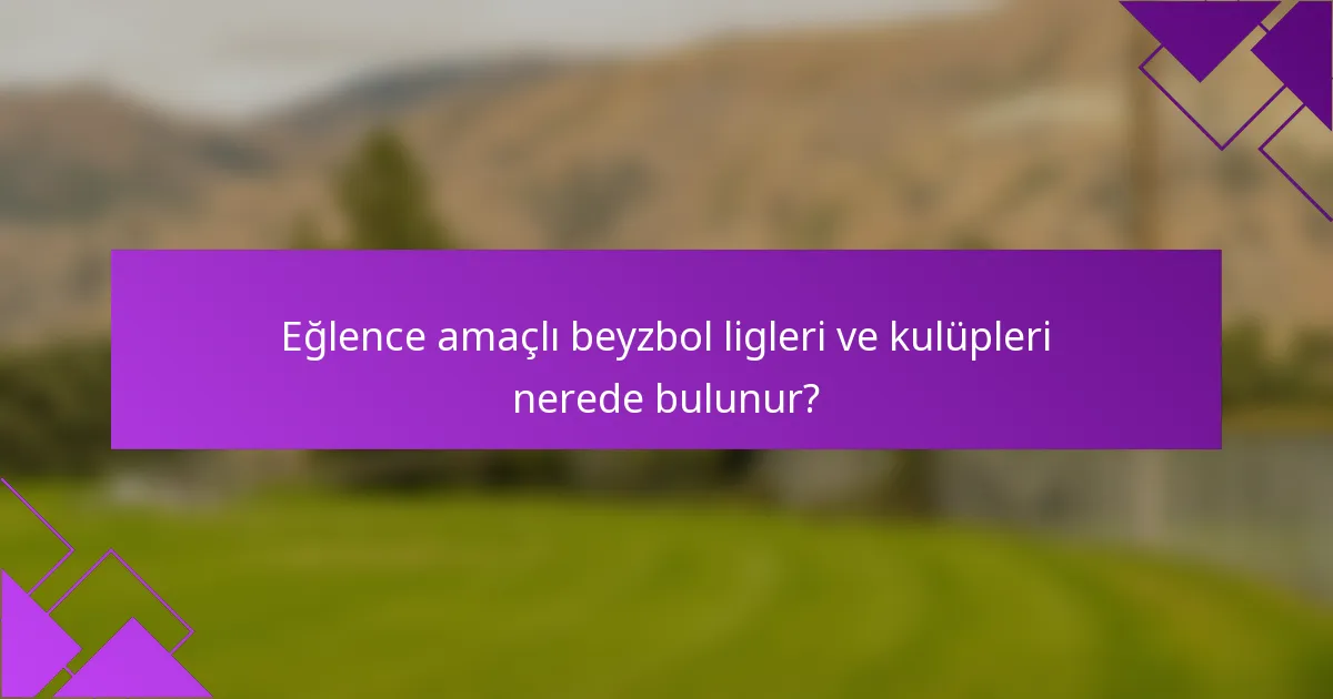 Eğlence amaçlı beyzbol ligleri ve kulüpleri nerede bulunur?