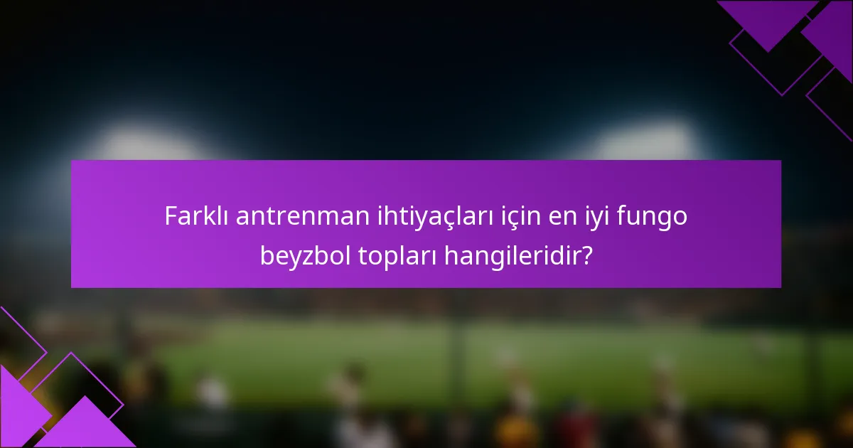 Farklı antrenman ihtiyaçları için en iyi fungo beyzbol topları hangileridir?