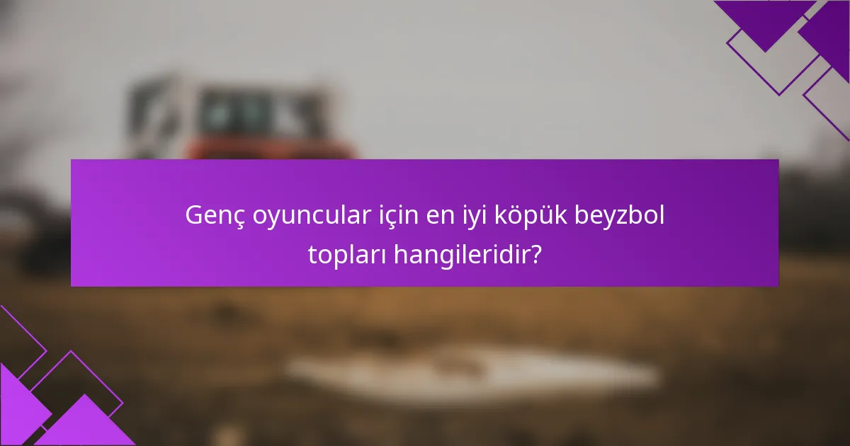 Genç oyuncular için en iyi köpük beyzbol topları hangileridir?