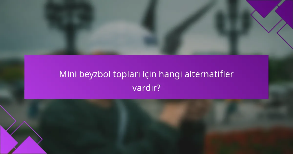 Mini beyzbol topları için hangi alternatifler vardır?