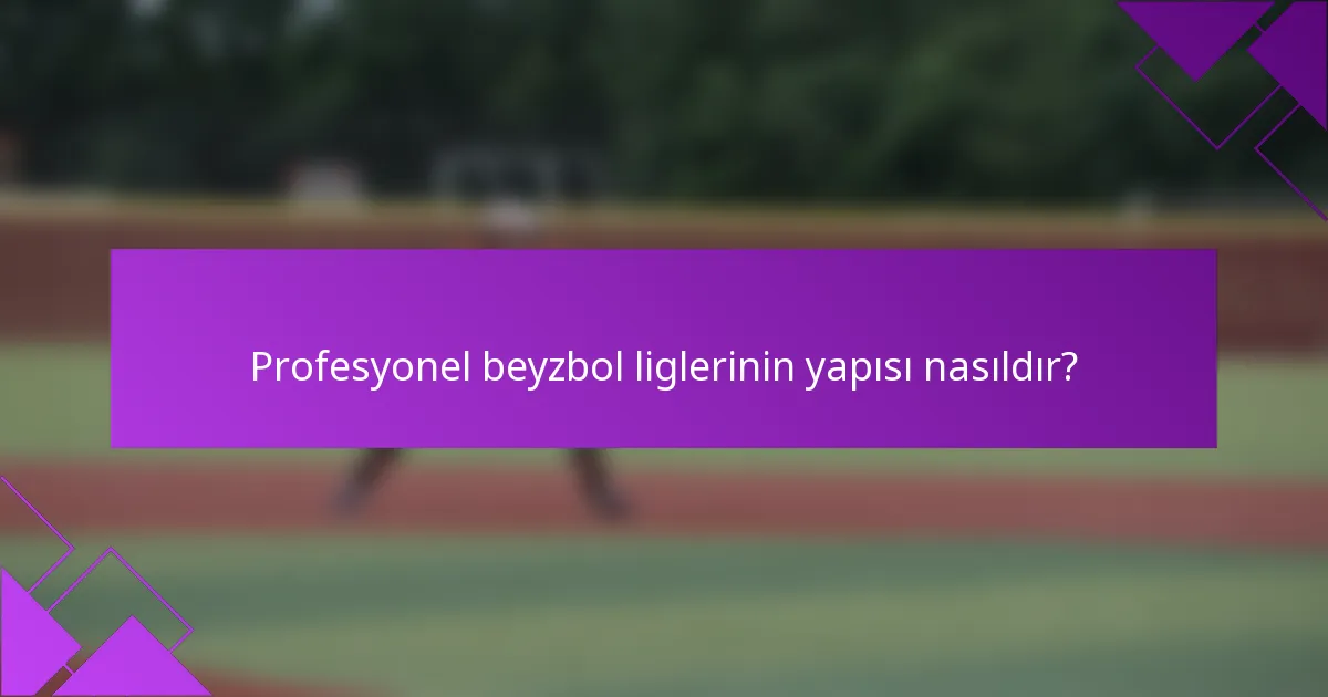 Profesyonel beyzbol liglerinin yapısı nasıldır?